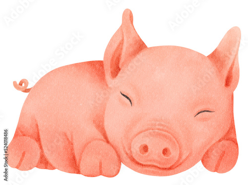 Cute pig watercolor illustration photo