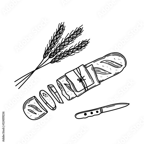 French bread, vector illustration of baguette. Bread For sandwich in sketch style