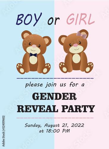 Gender reveal invitation
