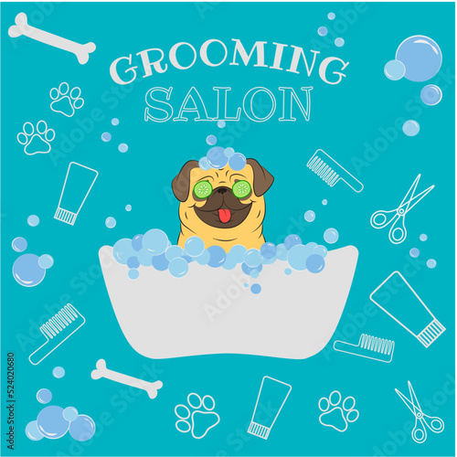 Grooming salon. Funny dog, the dog takes a shower with shampoo. The pug-dog takes a bath with foam in a beauty salon. Foam, bubbles, scissors, comb, shampoo, bath, face mask. Blue background
