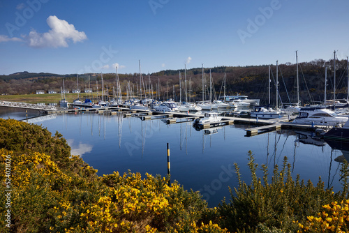 A bright and calm March morning, sailing yachts and other craft moored in the Portavadie Marina on Loch Fyne on the west coast of Scotland photo