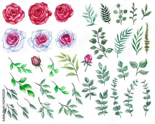 Big set of bright roses and leaves. Watercolor illustration  many elements for design.
