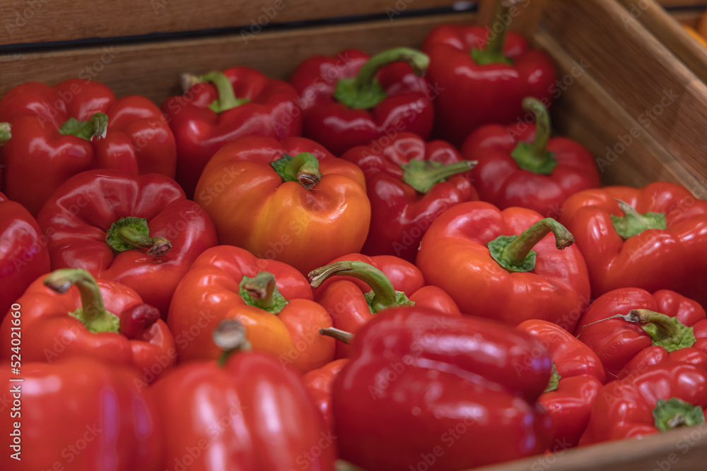 Fresh vegetables on the market. A large pile of red sweet peppers on a market stall. Food background. Pepper collection concept. Fresh vegetables on the market. A large pile of red sweet peppers on a market stall. Food background. Pepper collection concept.