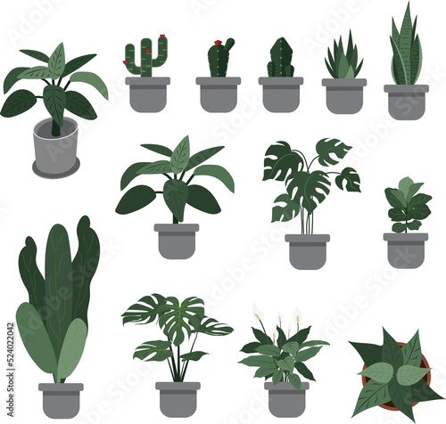 Set of ornamental plant pot