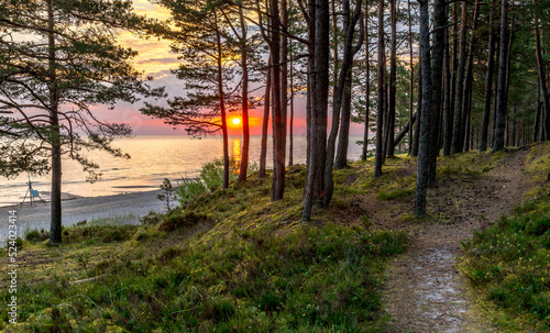 Coastal landscape with sandy beach and forest dune area of the Baltic Sea at ...