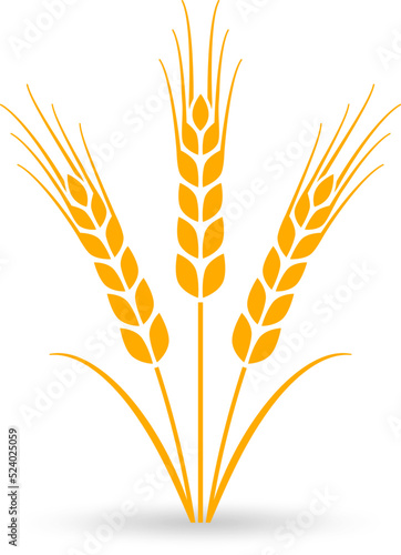 Wheat ear icon or logo. Barley, grain, cereal symbol. Agriculture design element. Vector illustration.