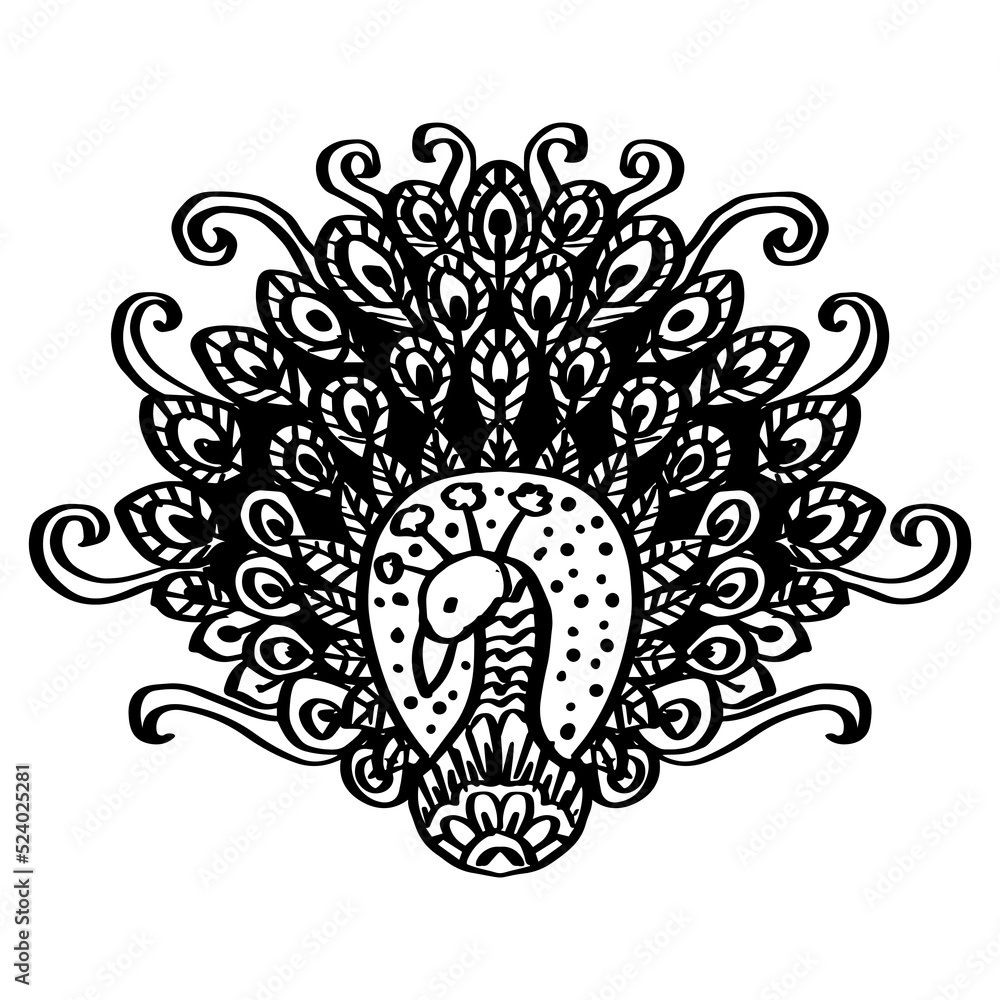 Hand drawn of peacock in zentangle style 