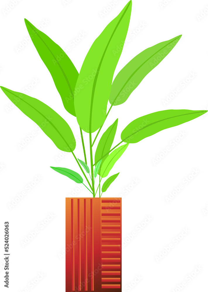Fototapeta premium Houseplant flower leaf botany decoration graphic design background pattern illustration