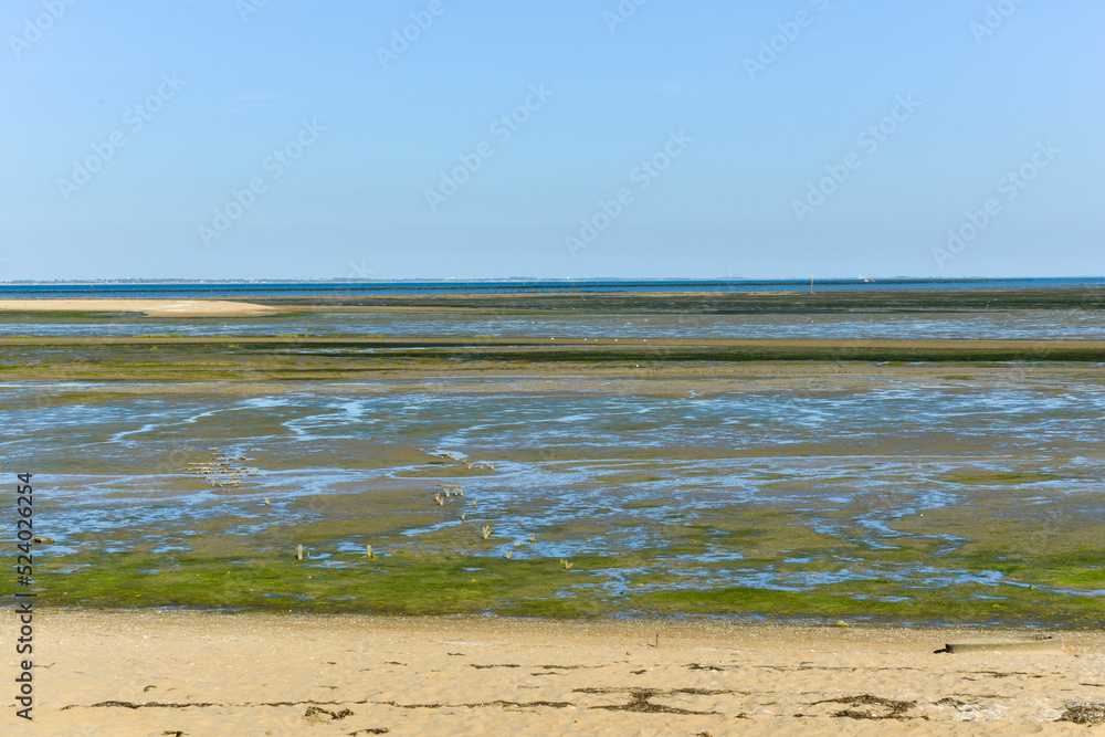 Site ostréicole, Fort Royer, Réserve naturelle maritime, Moêze Oléron, Ile d'Oléron, Charentes Maritimes, 17 Site ostréicole, Fort Royer, Réserve naturelle maritime, Moêze Oléron, Ile d'Oléron, Charentes Maritimes, 17