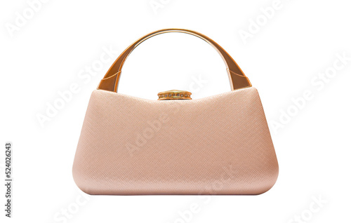 Clutch bag, Female bag Isolated on transparent background - PNG format. photo