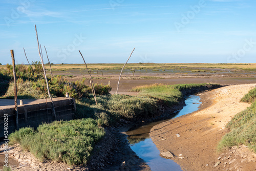 Obione, Site ostréicole, Fort Royer, Réserve naturelle maritime, Moêze Oléron, Ile d'Oléron, Charentes Maritimes, 17 photo