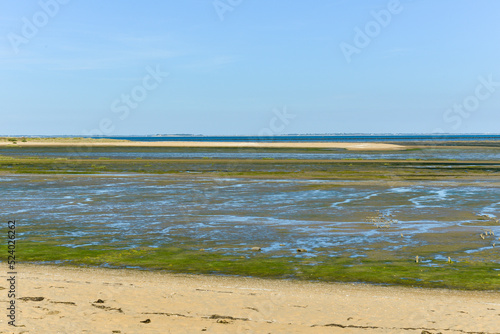 Site ostr  icole  Fort Royer  R  serve naturelle maritime  Mo  ze Ol  ron  Ile d Ol  ron  Charentes Maritimes  17