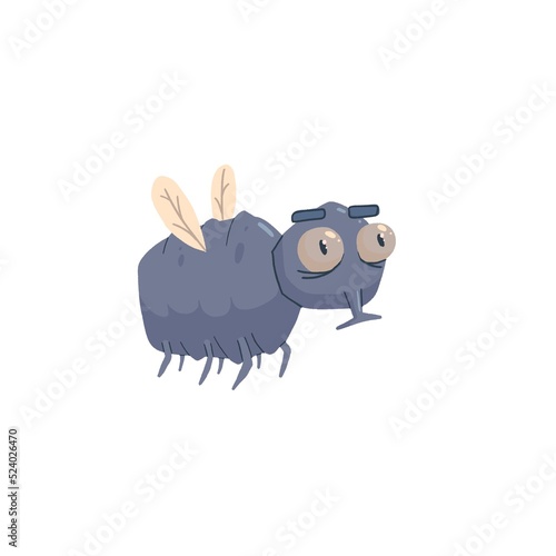 Artistic black fly, house f...
