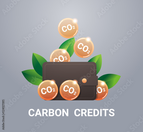 wallet with CO2 coins responsibility of co2 emission free trading carbon tax credit sustainable ESG development
