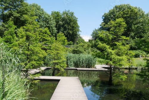 Teich im Grugapark in Essen