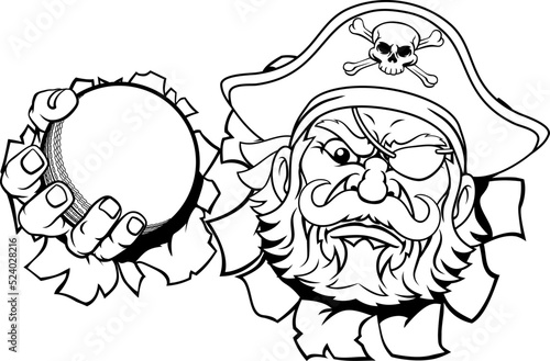 Pirate Cricket Ball Sports ...
