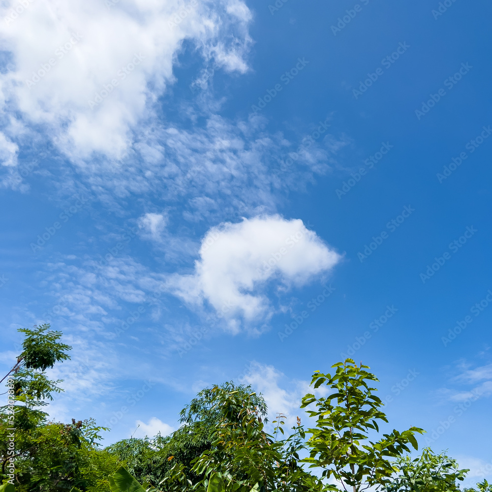 Fluffy white clouds, croissant-shaped clouds Floating in the sky on a clear day. Cute cloud images. Fluffy white clouds, croissant-shaped clouds Floating in the sky on a clear day. Cute cloud images.