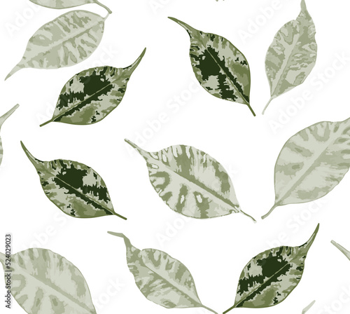 Ficus benjamina leaves seamless pattern. Floral abstract background. Modern wallpaper for different design. Beautiful foliage vector illustration.
