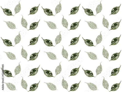 Leaves background. Seamless floral pattern. Vector.