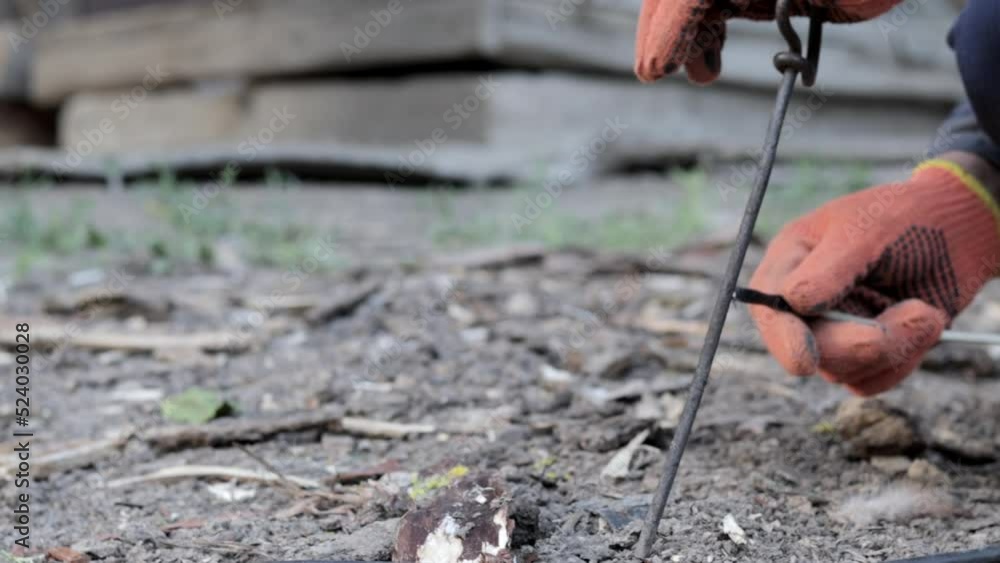 Extraction of worms by electric current, at 220 volts. Dig up or lure