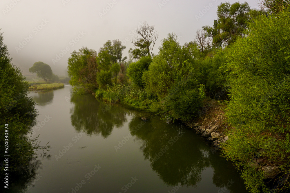 Obraz premium Camping in the nature waking up into a misty sunrise