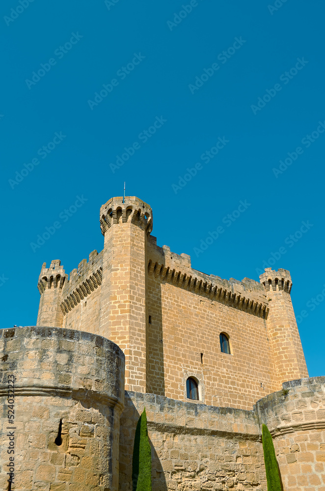 Vertical photo of the castle of sajazarra, La Rioja, Spain