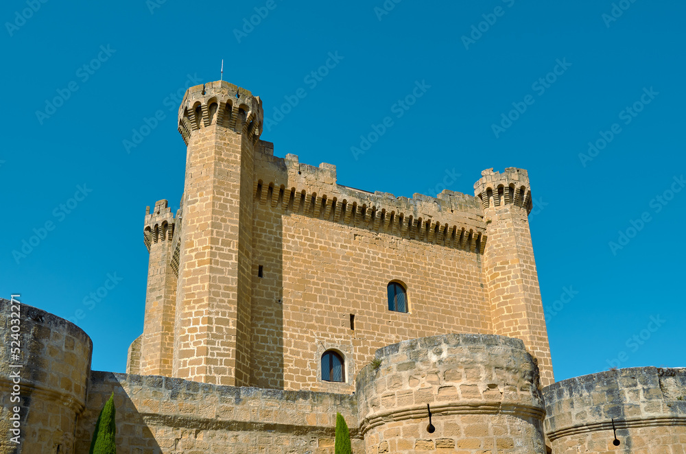 Photo of the castle of sajazarra, La Rioja, Spain