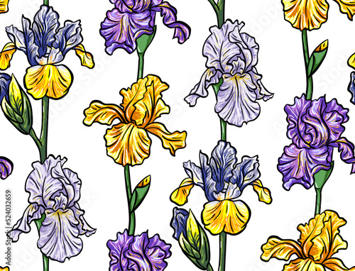 Iris pattern flowers illustration floral vector design decoration