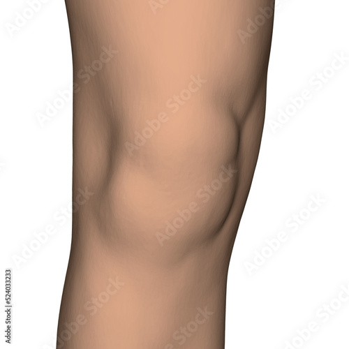 Realistic human knee isolated on white background. 3D. Vector illustration.