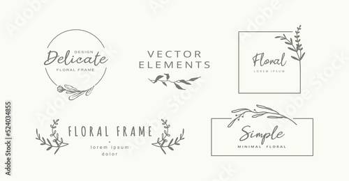 Set of minimalistic elegant hand drawn floral elements. Fashion logo templates, decorative labels, signs. Vector 