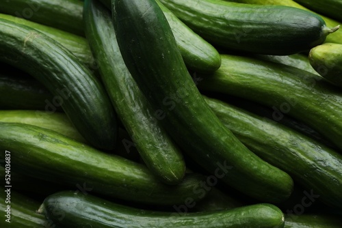 Many fresh green cucumbers as background, closeup view