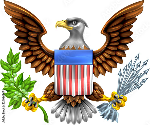 American Shield Eagle Design photo