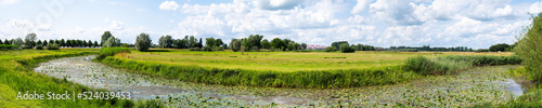 Panoramic view over the green wetlands around the River IJssel, Hattem, The Netherlands photo