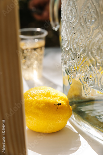 An empty lemonade stand ready for children to start selling lemonade on a hot summer day as their first business endeavor photo