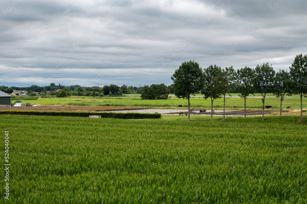 View over the natural floodplain with agriculture field and wetland around Ochten