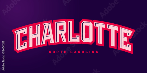 T-shirt stamp logo, USA Sport wear lettering Charlotte tee print, athletic apparel design shirt graphic print