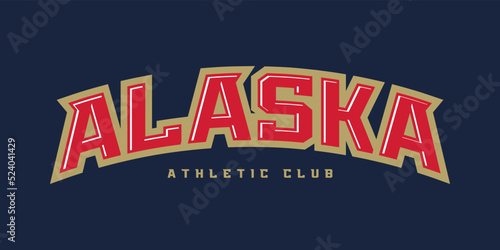 T-shirt stamp logo, USA Sport wear lettering Alaska tee print, athletic apparel design shirt graphic print