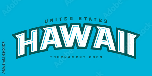 T-shirt stamp logo, USA Sport wear lettering Hawaii tee print, athletic apparel design shirt graphic print