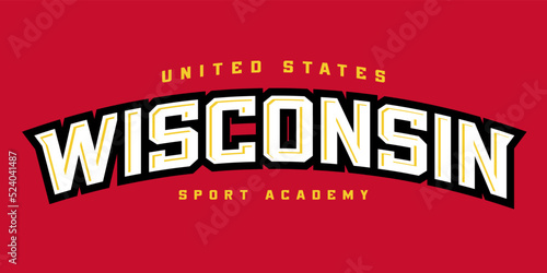 T-shirt stamp logo, USA Sport wear lettering Wisconsin tee print, athletic apparel design shirt graphic print