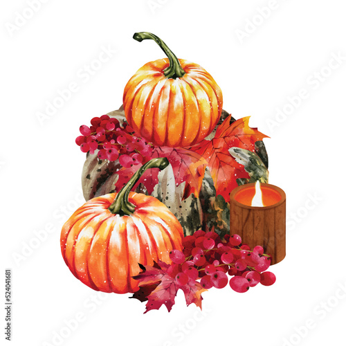 Pumpkins watercolor vector isolated on white background