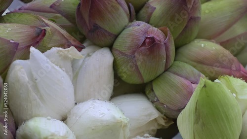 A bunch of lotus flowers are being sold in the market mallik bazar Or Jagannath ghat photo