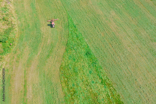 A red tractor rakes the mown grass in the drying field. Top view of modern farmer machinery.