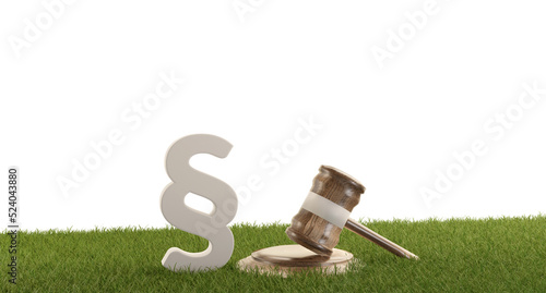 paragraph gavel and green g...
