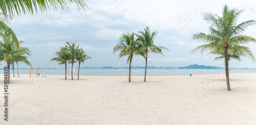 Panorama view beautiful wedding decorations along sandy beach with palm trees and mountains background in Ha Long Bay, Quang Ninh, Vietnam