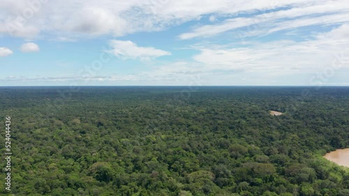 4k Aerial shot for amazon river and the rain forest in brazil rainforest.
shot on MAVIC 2 PRO hasselblad rendered prores 422HQ REC709