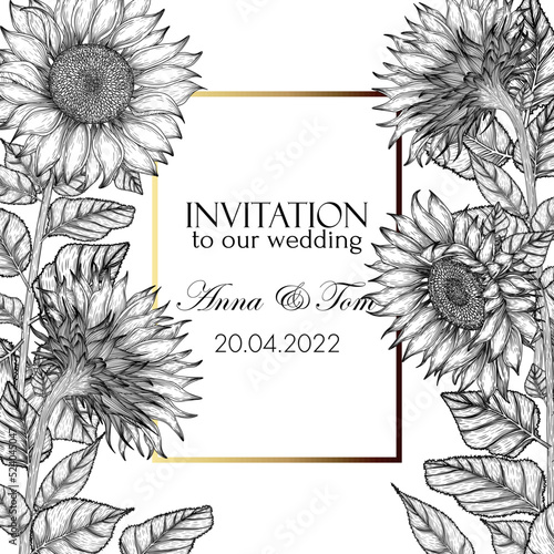 Vector illustration of wedding invitation template. Graphic linear sunflower flowers