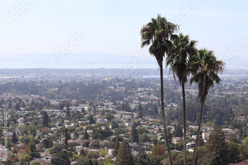Panoramic View of San Francisco 
