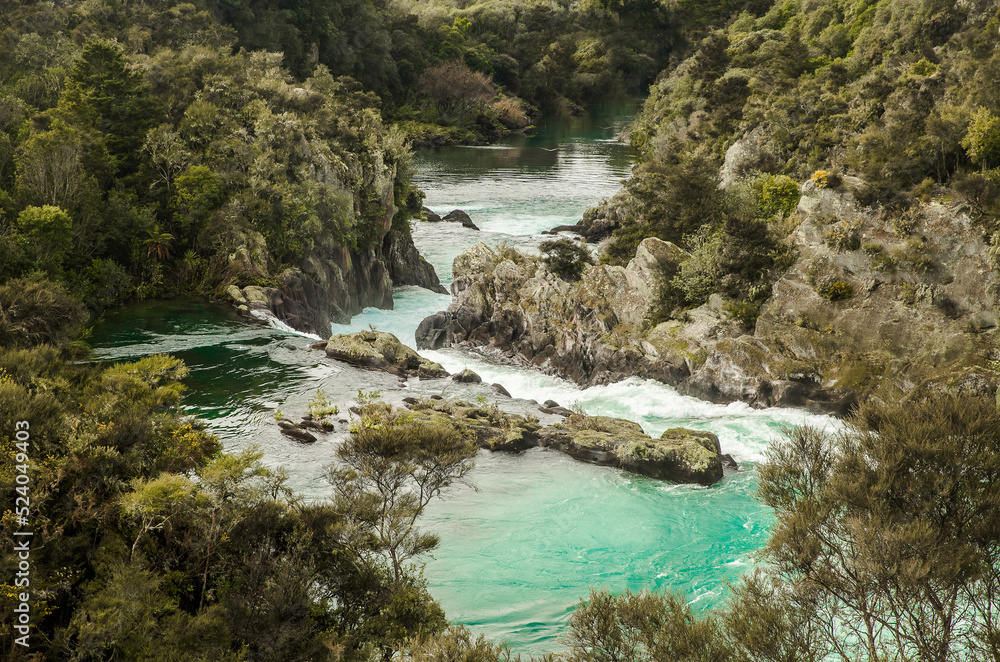 water rapids and dam, forest background, water power, taupo, new zealand