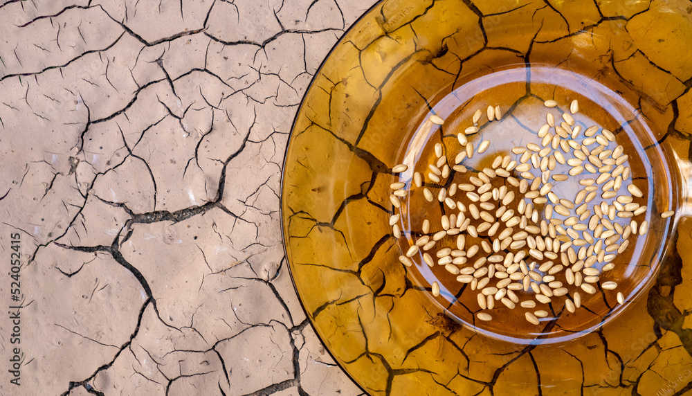 Φωτογραφία the last food left on the plate