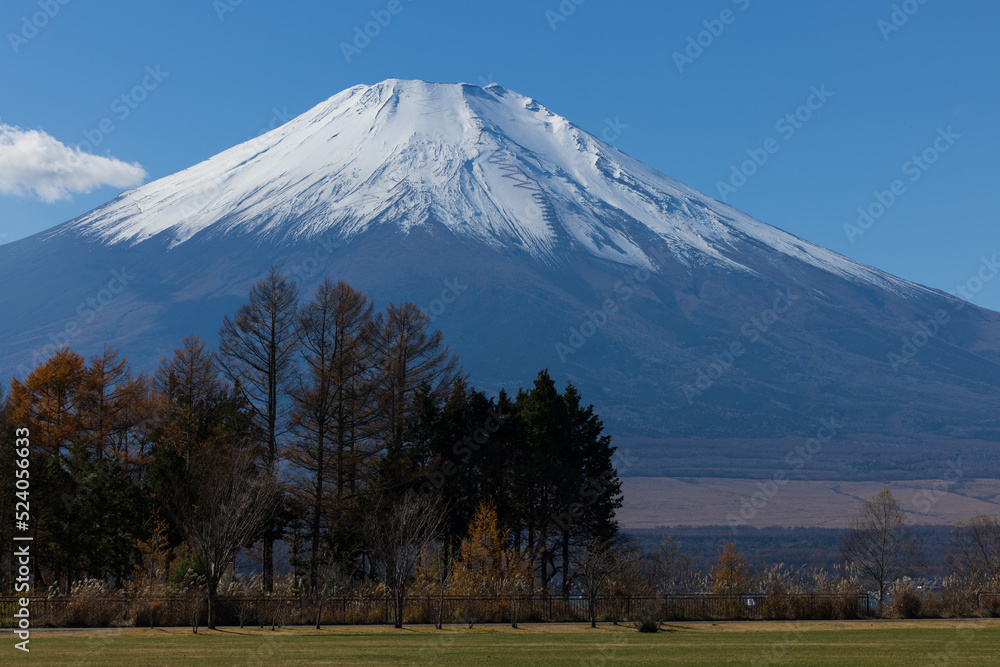 山中湖から富士山 山中湖から富士山